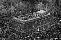 Fotografia starego nagrobka na zabytkowym cmentarzu